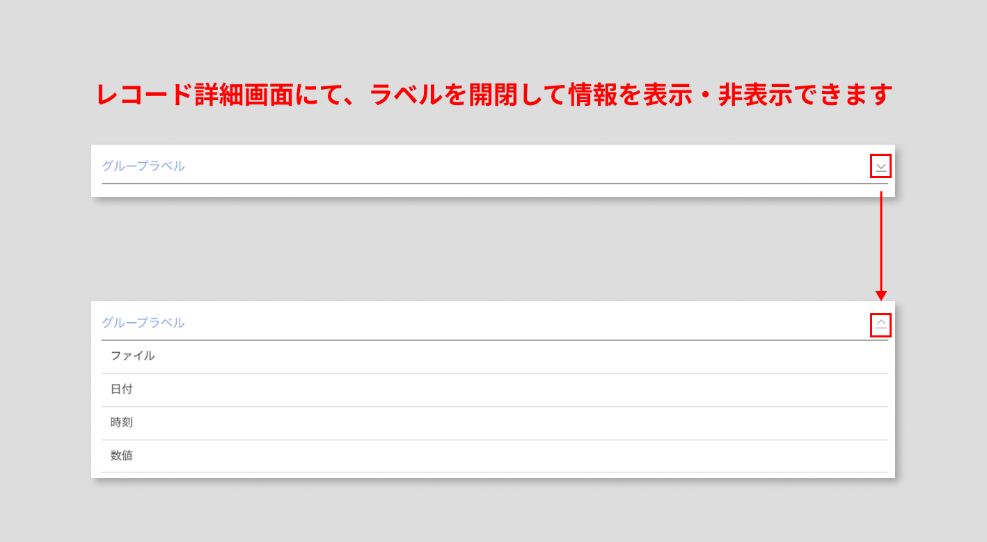 汎用項目-グループラベル.png