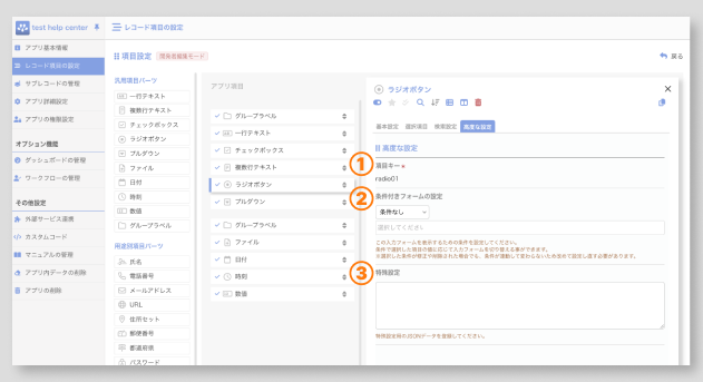 ラジオボタン項目の詳細設定-高度.png